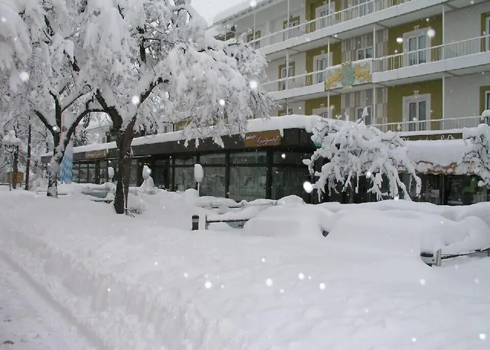 Hotel Luitpold Hotel Bad Worishofen