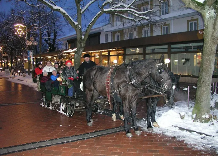 Luitpold מלון באד וויריסהופן